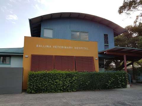 Photo: Ballina Veterinary Hospital